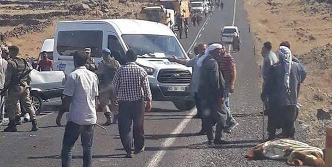 Şanlıurfa'da otomobiller çarpıştı! Ölüler ve yaralılar var