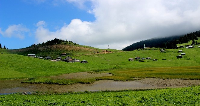 Türkiye’de huzurun adresi; Karadeniz yaylaları