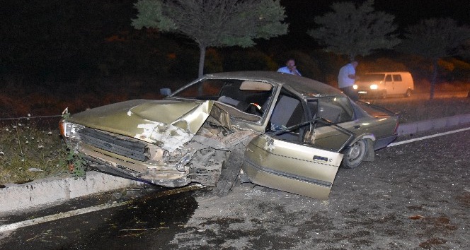 Otomobil aydınlatma direğine ve ağaca çarptı: 2’si çocuk, 7 yararlı