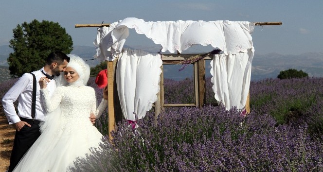 Türkiye’nin doğal fotoğraf stüdyosu lavanta tarlalarında düğün turizmi