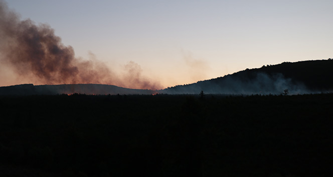 Kartal&#039;da orman yangını!