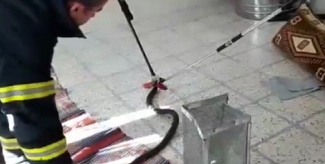 Eve giren yılan itfaiye ekiplerine zor anlar yaşattı