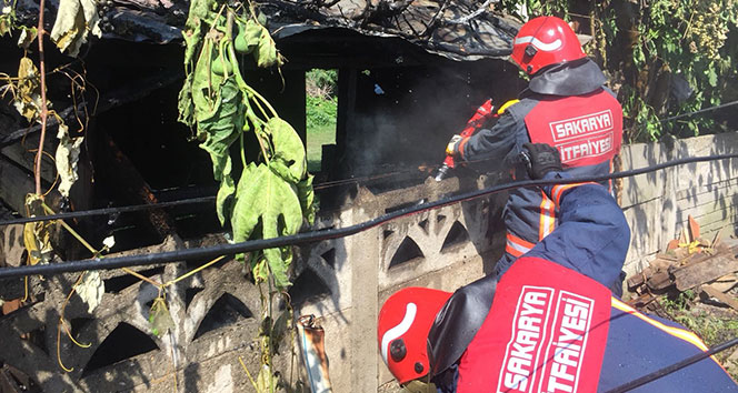 'Pire için yorgan yakmak' atasözü Sakarya’da gerçek oldu