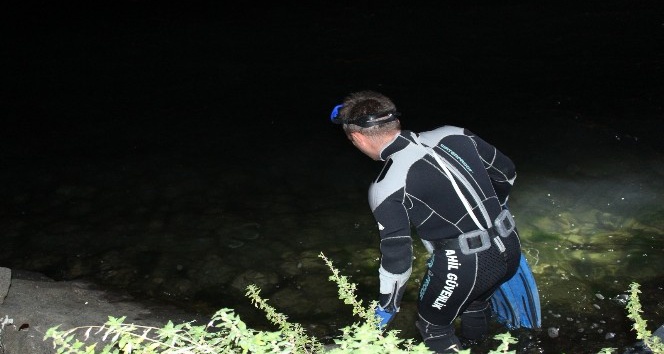 Giresun’da otomobil denize uçtu: 1 yaralı