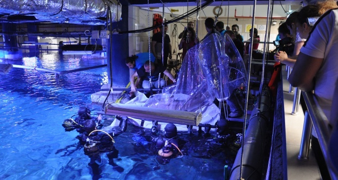 Akvaryumdaki 2 metrelik köpek balığı bayıltılarak muayene edildi