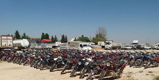 Şanlıurfa'da ele geçirildi! 4 günde tam 233 tane!