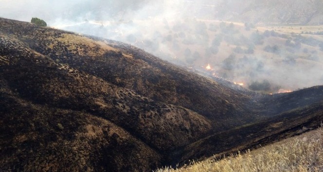 Tosya’da tarım arazisindeki yangında 100 dönüm alan kül oldu