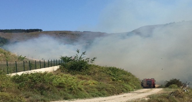 Sinop’ta yangında 1 hektarlık alan zarar gördü