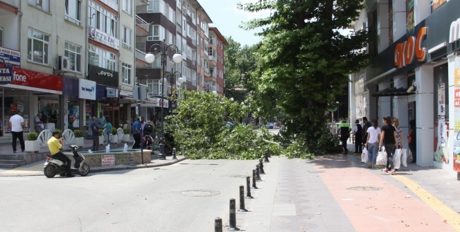 Sesi duyan dışarı fırladı! Nedeni ise...