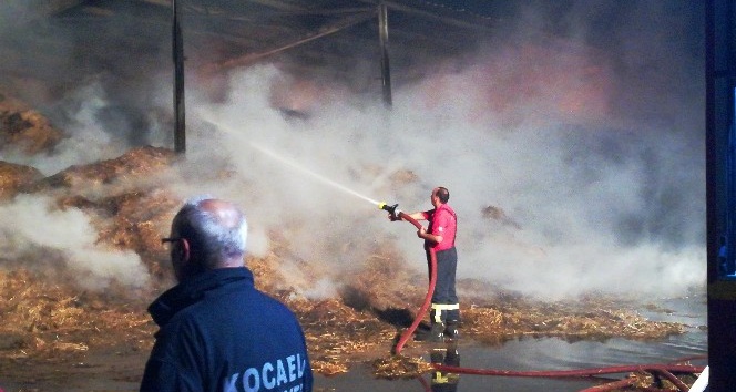 Kocaeli’de çiftlikte çıkan yangın 3 saat sonra kontrol altına alındı