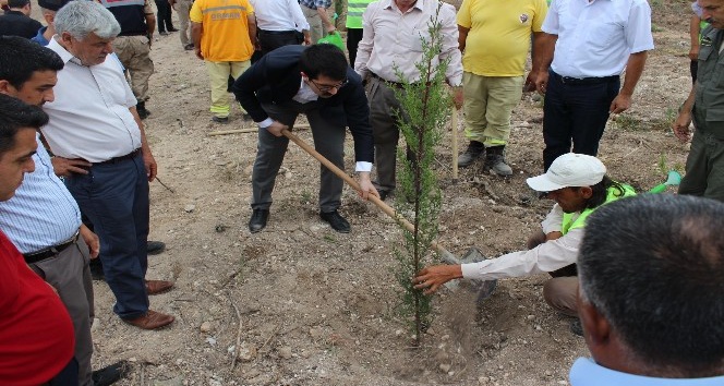 Sumbas’ta 15 Temmuz Hatıra Ormanı oluşturuldu