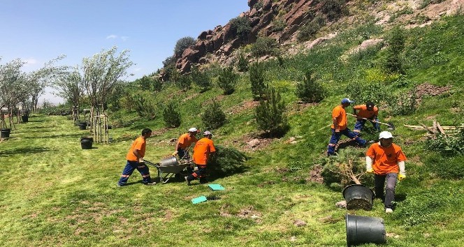 Altındağ’ın parklarına yaz bakımı