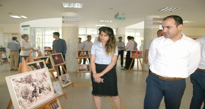Sungurlu’da 15 Temmuz sergisi açıldı