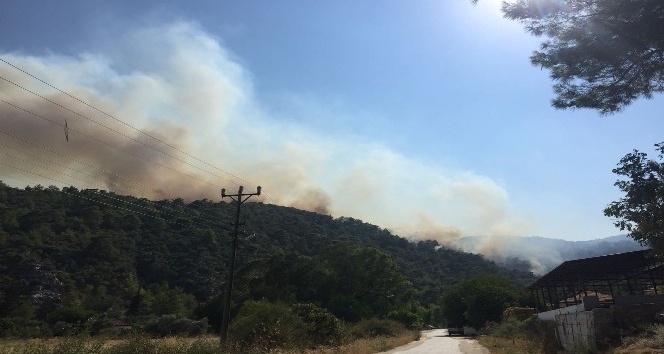 Muğla’da orman yangını yerleşim alanlarını tehdit ediyor