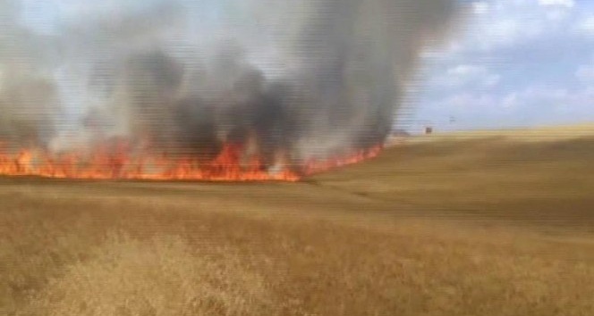 Sorgun’da ekili tarım arazisinde yangın çıktı