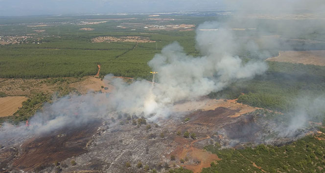 Antalya&#039;da orman yangını: 3 hektar kül oldu