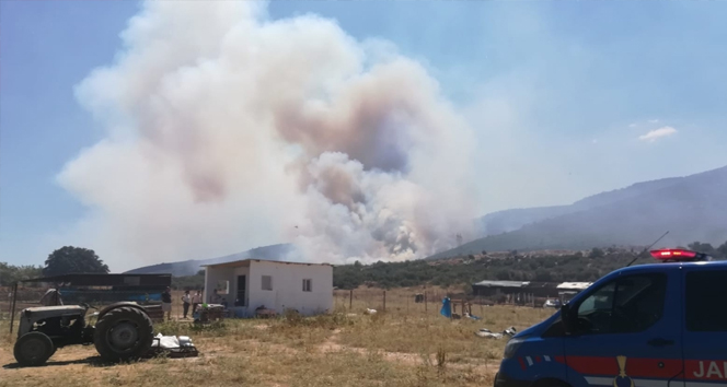 İzmir’de tehlikeli orman yangını!