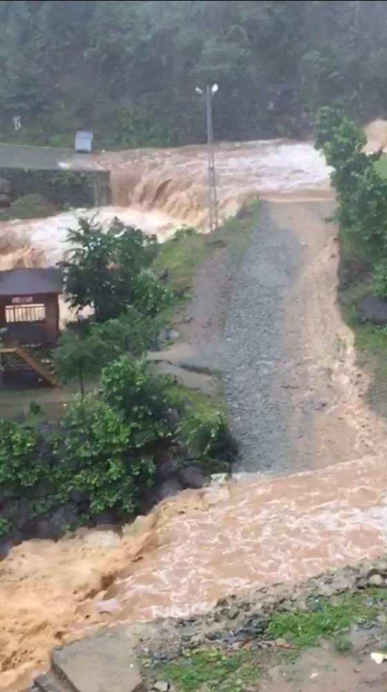 ...
