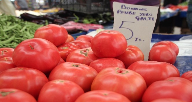 Yerli domates satışa sunuldu