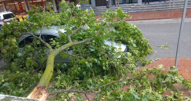 Fırtınada devrilen ağaç dalı otomobilin üzerine düştü