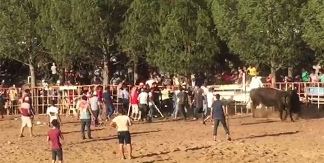 Dostluk karşılaşması meydan savaşına dönüştü!