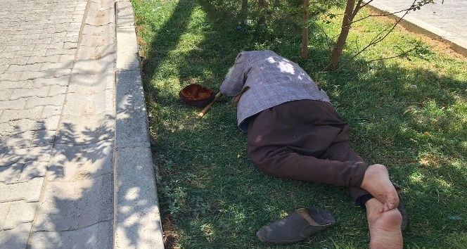 Diyarbakır’da sıcaklardan bunalan yaşlı adam refüje yattı