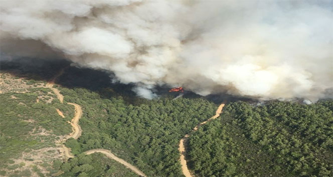 İzmir’de orman yangını! 3 helikopter, 2 uçak müdahale ediyor...