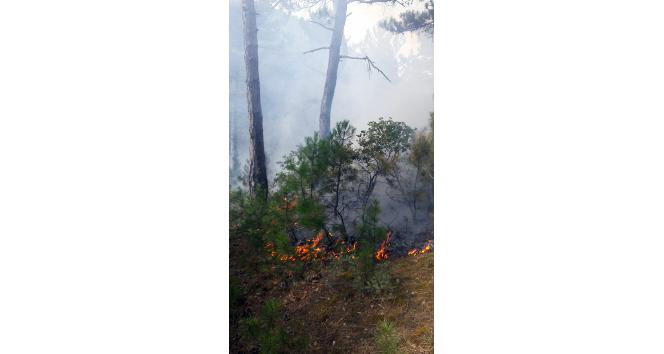 Kastamonu’da orman yangınını söndürme çalışmaları sürüyor