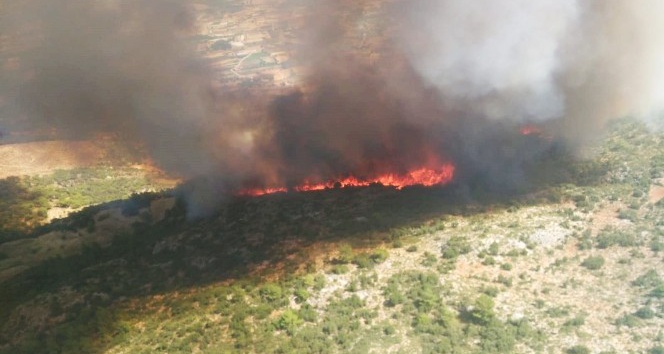 Seydikemer’de orman yangını kontrol altına alındı