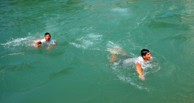 Adana’da termometreler 48 dereceyi gösterdi, köpekler göle girdi