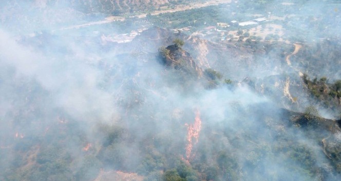 Ziraat alanında başlayan yangın ormana sıçradı