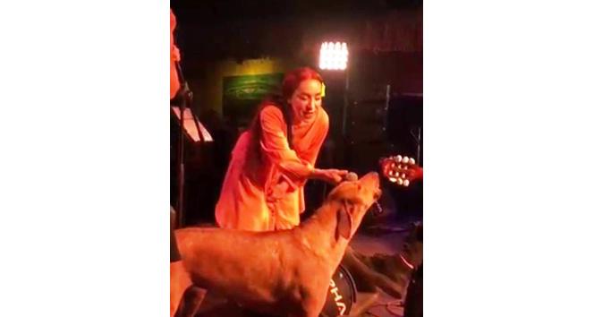 Leman Sam şarkı söylerken sokak köpeği sahneye fırladı