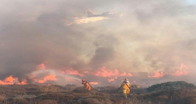 Bodrum’da çıkan yangında 40 hektarlık alan kül oldu
