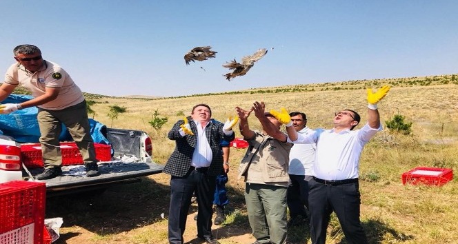 Yozgat’ta bin keklik doğaya salındı