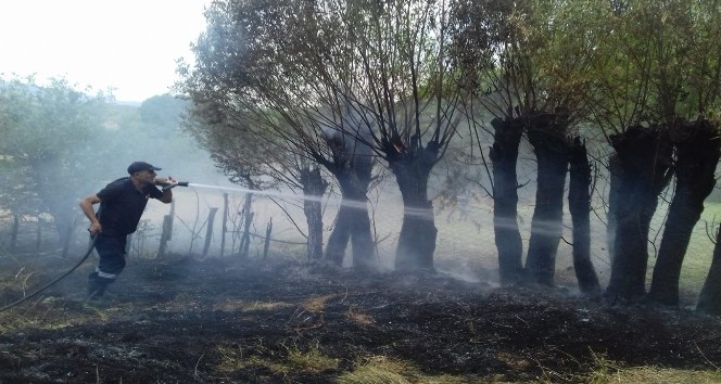 Bingöl’de anız yangını ağaçlara sıçradı
