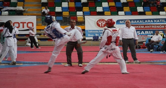 Türkiye Taekwondo Şampiyonası sona erdi