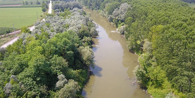 Atık sular ile kirlenen Sakarya Nehri havadan görüntülendi