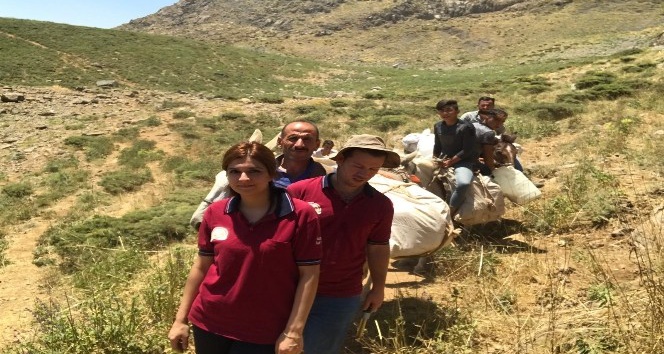 Terörün yerini huzura bırakması ile dağlar ve yaylalar şenlendi