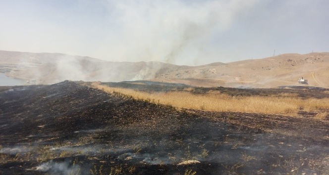 Alevler 65 dönümlük buğday tarlasını kül etti