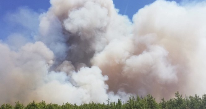 Antalya’da orman yangını (1)