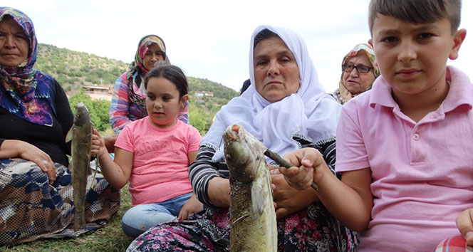 Domaniç&#039;teki balık ölümlerine vatandaşlardan tepki