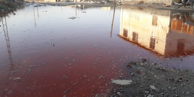 Köylü dışarı çıkınca hayatının şokunu yaşadı! Gördüklerine inanamadılar