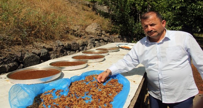 En iyi pekmez ve reçellerin sırrı: "Güneş ışığı"