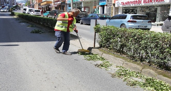 Park ve Bahçelerin Bakımı Yapılıyor