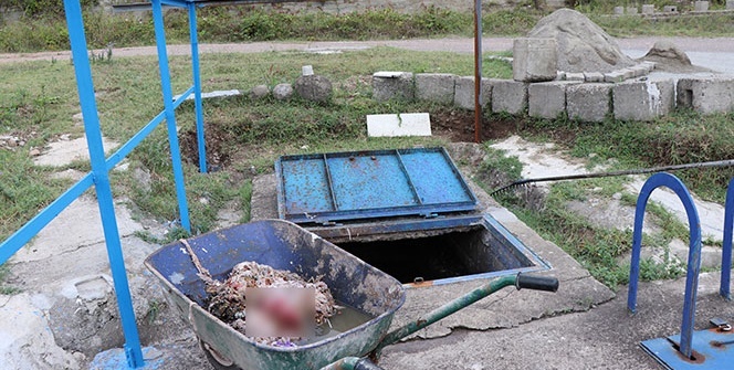 Vahşet! Kanalizasyonda bulundu