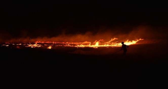 Kırıkkale’de tarım arazisinde yangın