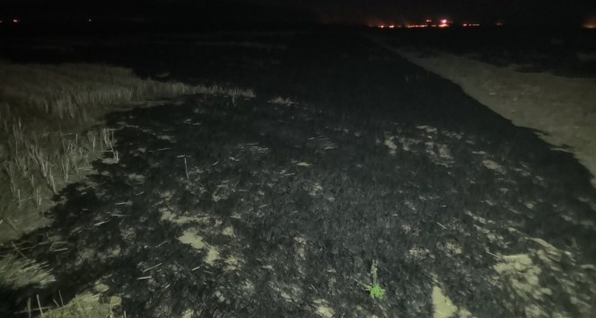 Kırıkkale’deki yangın söndürüldü