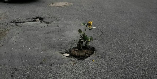 Çukurlu yollara öyle bir şey yaptılar ki...