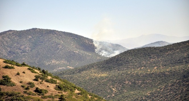 Tunceli’de otluk alanda başlayan yangın ormana sıçradı