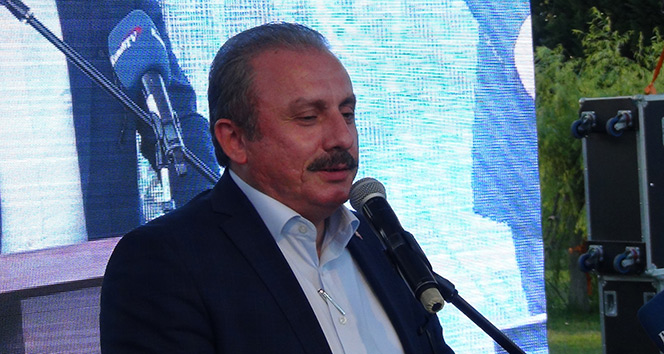 TBMM Başkanvekili Prof. Dr. Mustafa Şentop’tan tren kazası değerlendirmesi